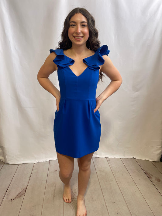 Ruffle Sleeve Mini Dress