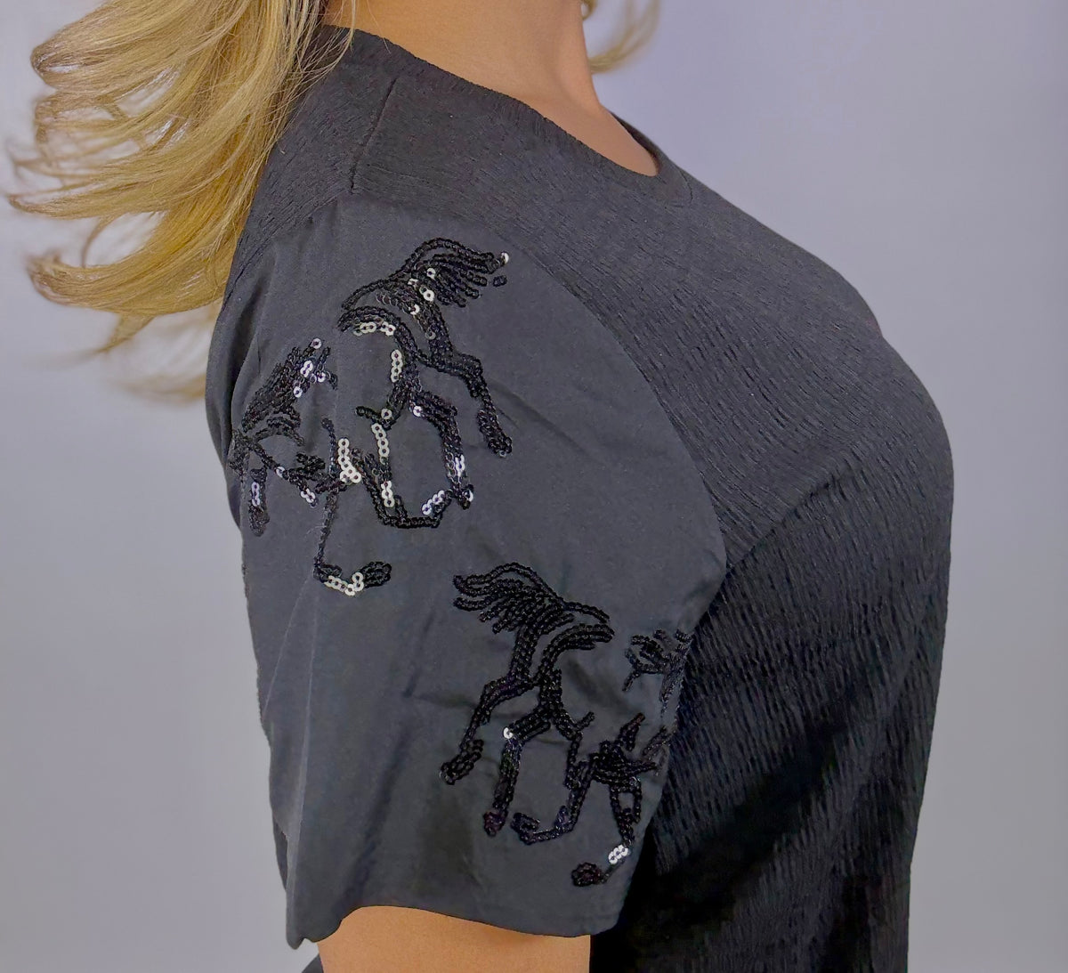 Sequins Horse Sleeve Blouse