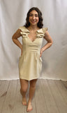 Ruffle Sleeve Mini Dress