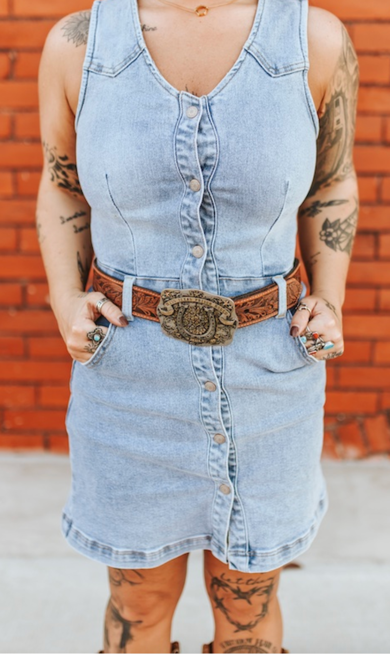 Denim Yoke Button Down Dress