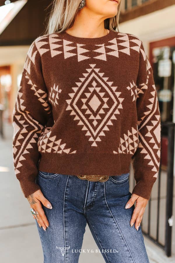 Plus Mocha Brown Beige Aztec Knitted Long Sleeve Sweater