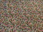 Print Silk Wild Rags