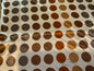 Print Silk Wild Rags